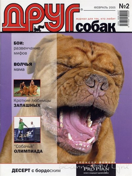 Сайт журнала друг. Журнал собака. Друг собак журнал. Журнал друг для любителей собак. Друг собак 2005 журнал.