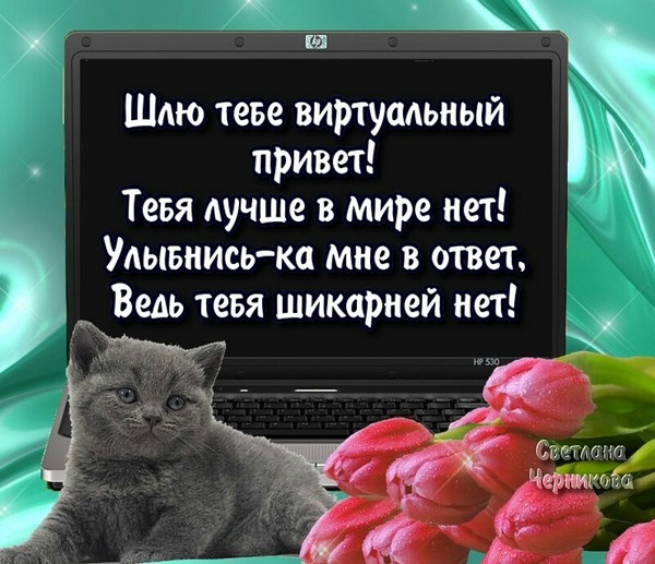 Привет дружище спешу сообщить что на тебя