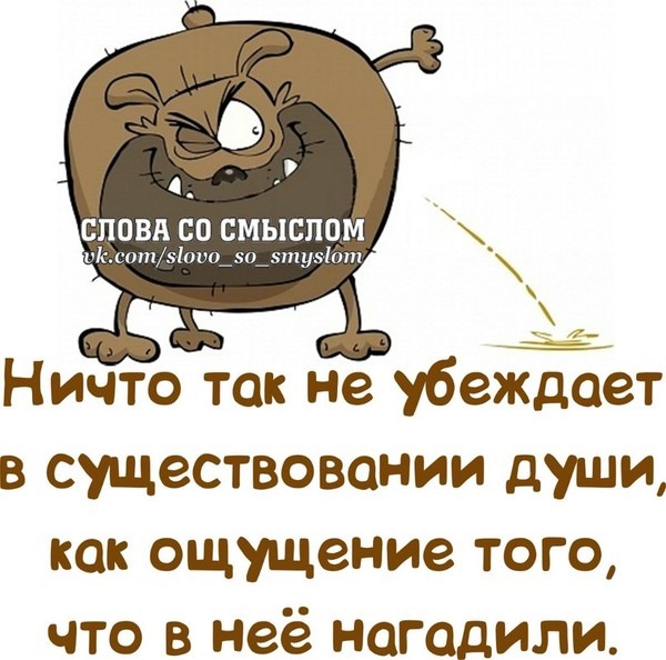 Шутки со смыслом картинки