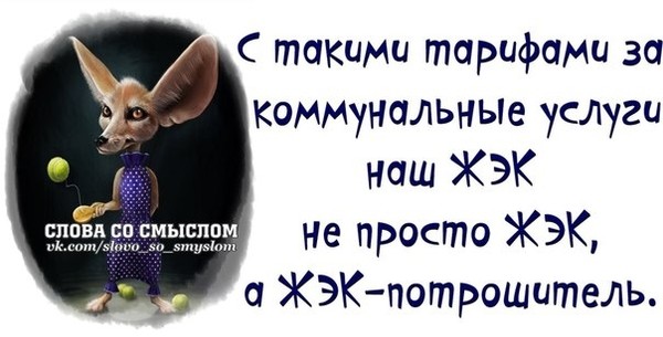 Картинки кедах, картинки про девушек со смыслом с надписями смешные до слез