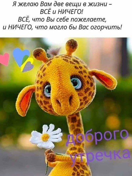 Холодное утро картинки