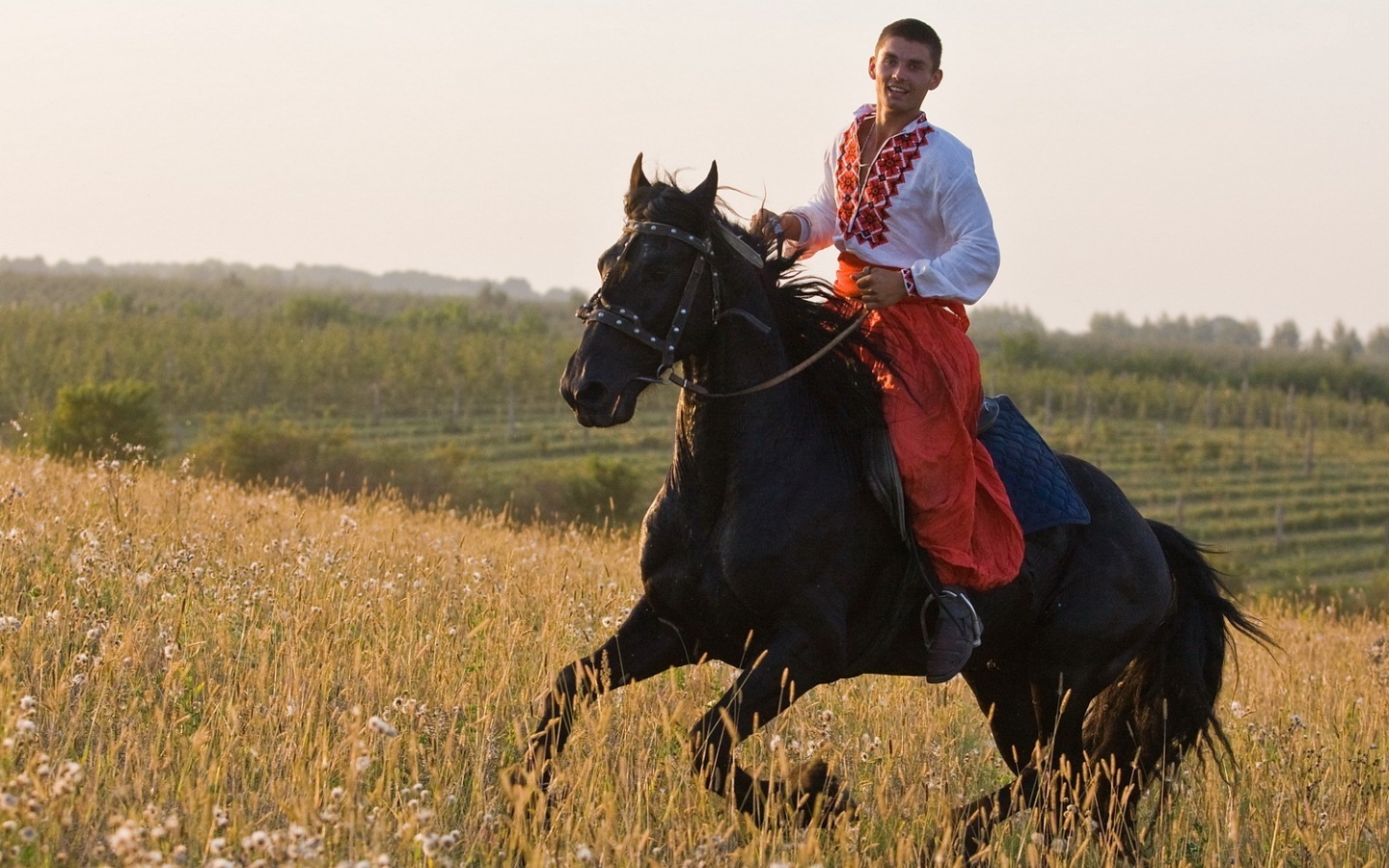 Русский наездник. Донской Козак на коне 1792г. Донской казак в поле. Казаки на конях. Донские казаки на конях.