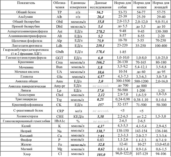 Физико биохимический. Биохимический анализ крови лошади норма. Таблица результатов биохимического анализа крови для собак.