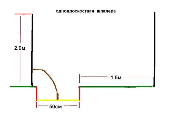 Расстояние между рядами винограда. Расстояние при посадке винограда. Одноплоскостная шпалера для винограда схема. Схема посадки винограда. Какое расстояние между рядами винограда.