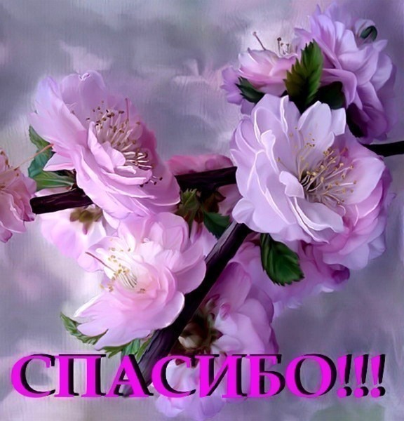 Открытка огромное спасибо дорогая