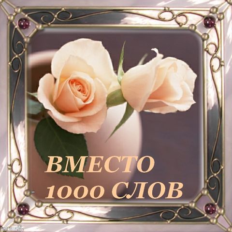 Вместо 100 слов. Открытка вместо тысячи слов. Вместо тысячи слов цветы. Открытки вместо 1000 слов. Открытка с цветами вместо тысячи слов.