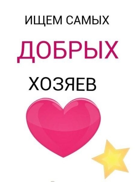 Очень нужен дом картинки