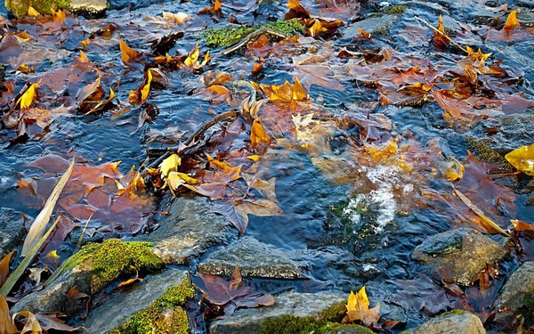 Фото У Воды Осенью