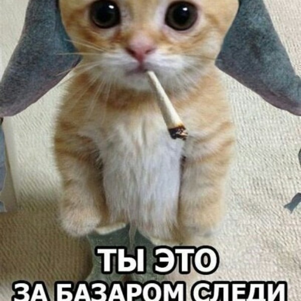 нагревании за базар ответишь картинки прикольные ней найдете